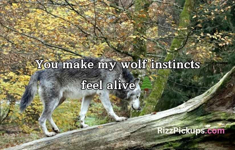 Wolf Pick Up Lines