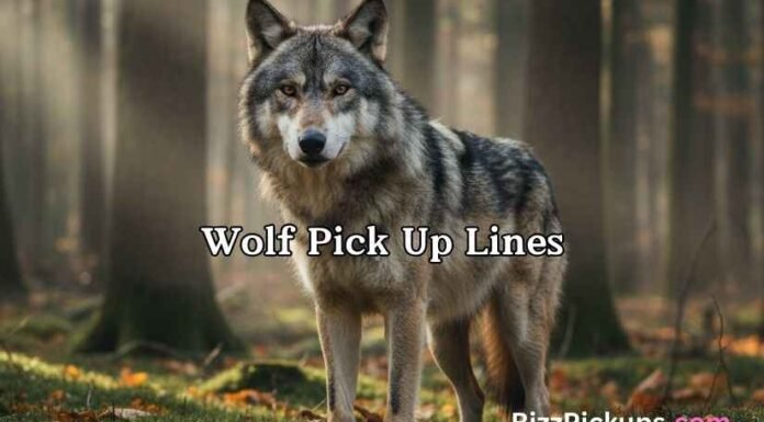 Wolf Pick Up Lines Wolf Pick Up Lines