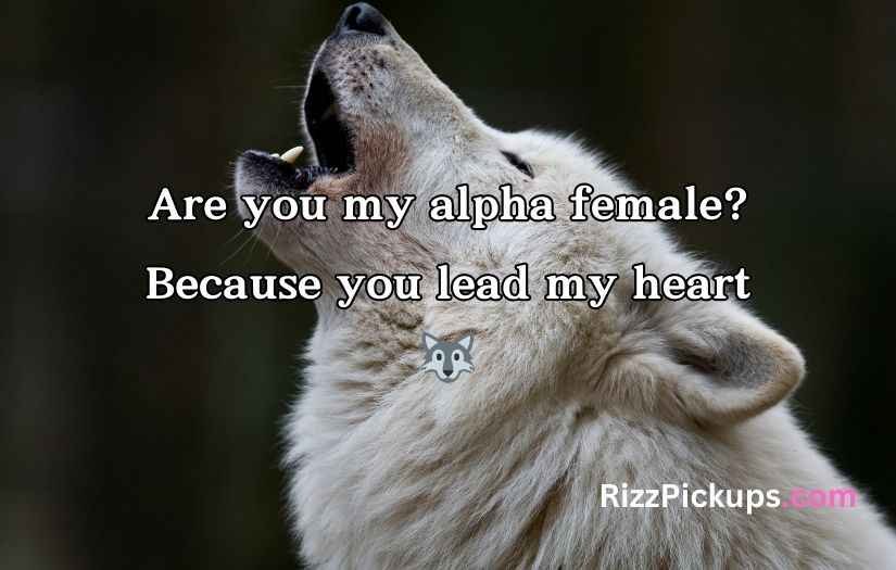 Wolf Pick Up Lines