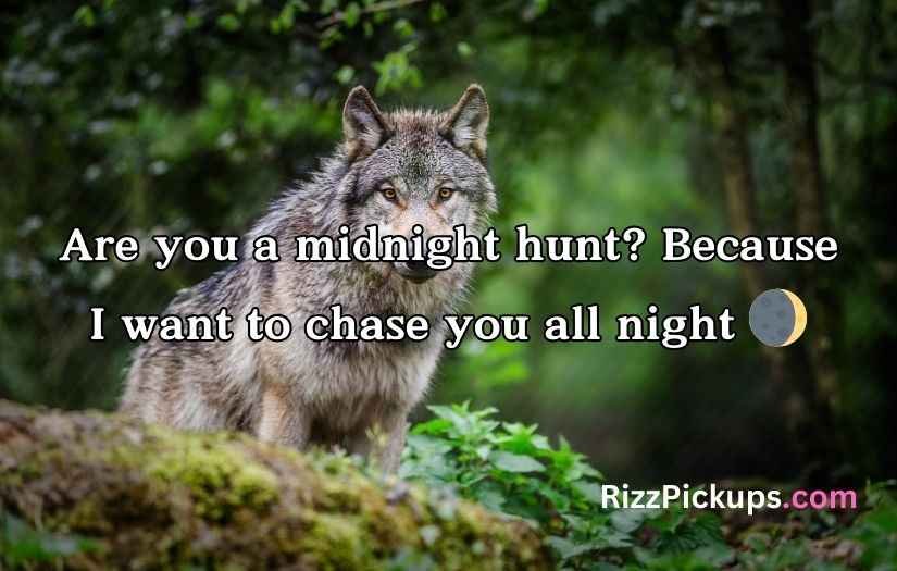 Wolf Pick Up Lines