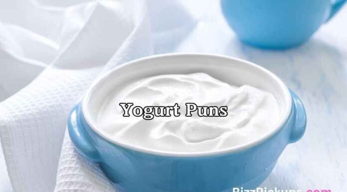 Yogurt Puns Yogurt Puns