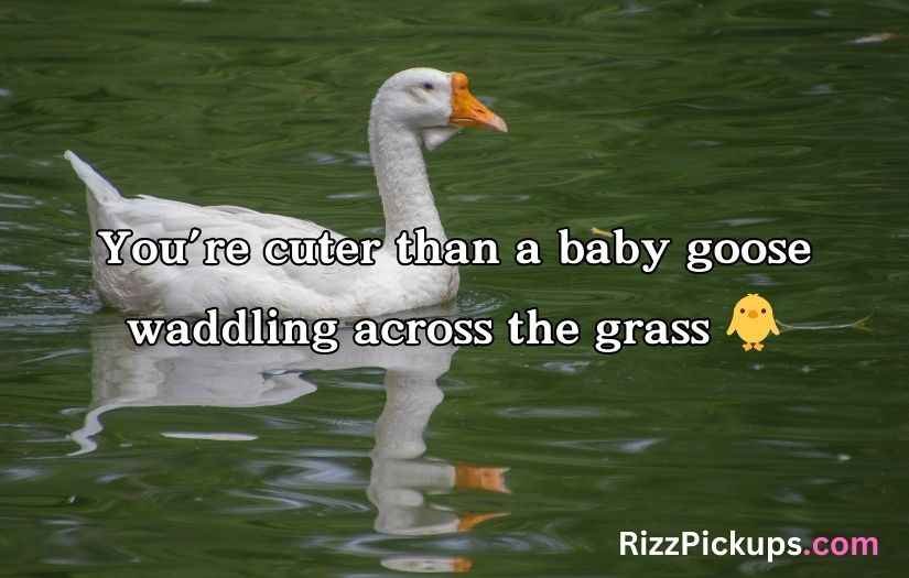 Goose Pickup Lines