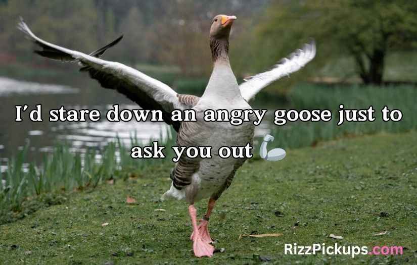 Goose Pickup Lines
