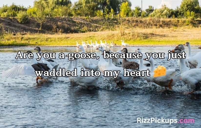 Goose Pickup Lines