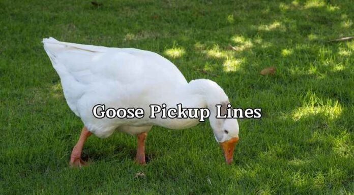 Goose Pickup Lines Goose Pickup Lines