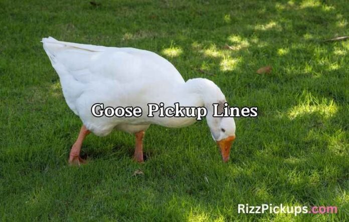 Goose Pickup Lines