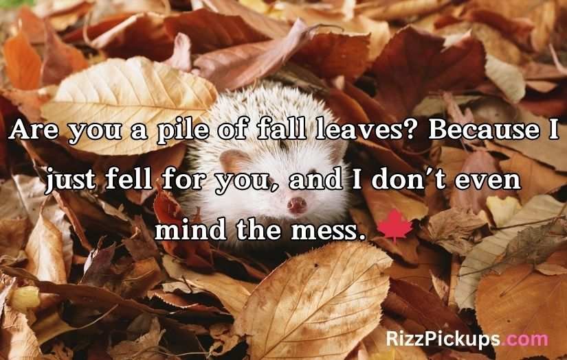 Autumn Pick Up Lines