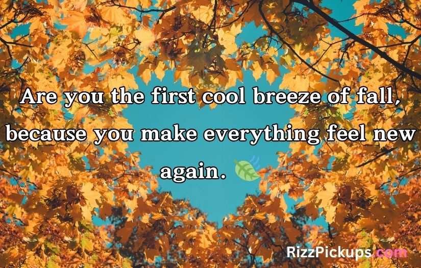 Autumn Pick Up Lines