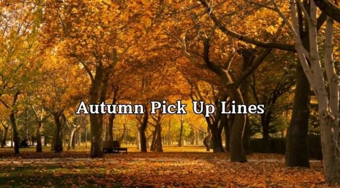 Autumn Pick Up Lines Autumn Pick Up Lines