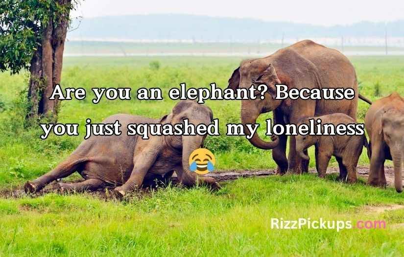 Best Elephant Pick Up Lines And Rizz