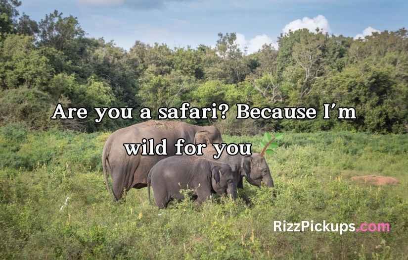 Best Elephant Pick Up Lines And Rizz