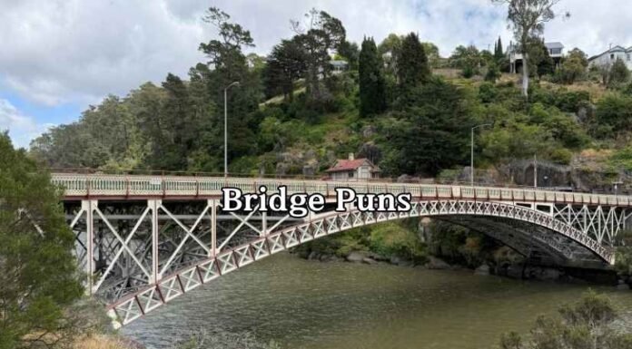 Bridge Puns Bridge Puns