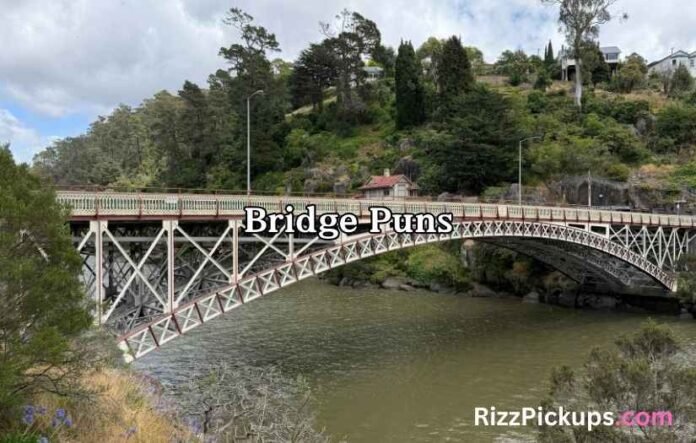 Bridge Puns