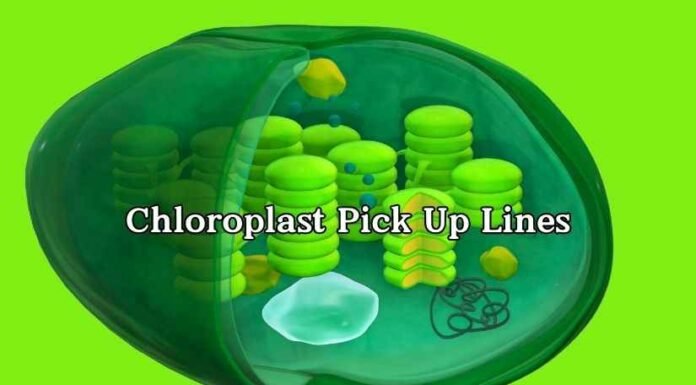 Chloroplast Pick Up Lines Chloroplast Pick Up Lines