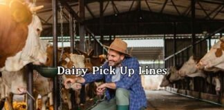 Dairy Pick Up Lines Dairy Pick Up Lines