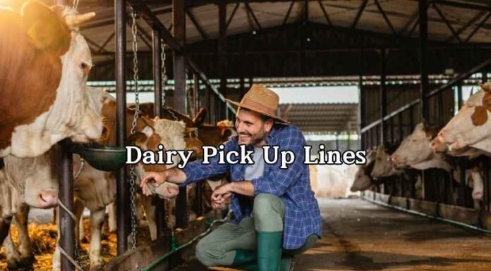 Dairy Pick Up Lines Dairy Pick Up Lines
