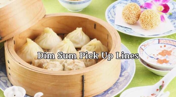 Dim Sum Pick Up Lines Dim Sum Pick Up Lines