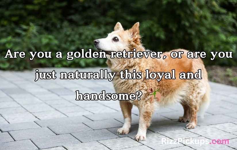 Doggone Clever Pick-Up Lines