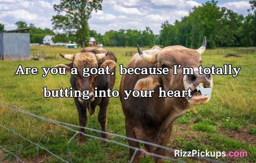 Farm Pick Up Lines