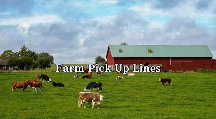 Farm Pick Up Lines Farm Pick Up Lines