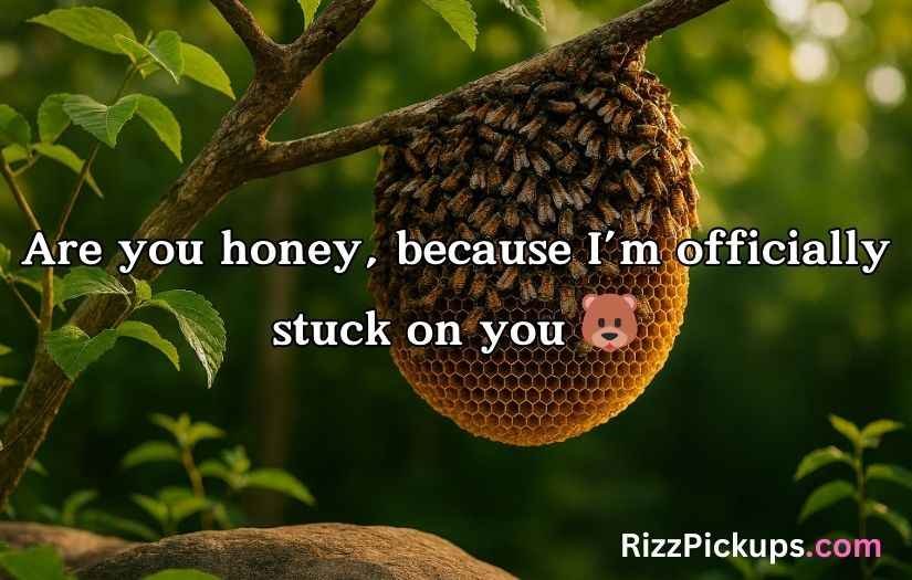 Honey Pick Up Lines