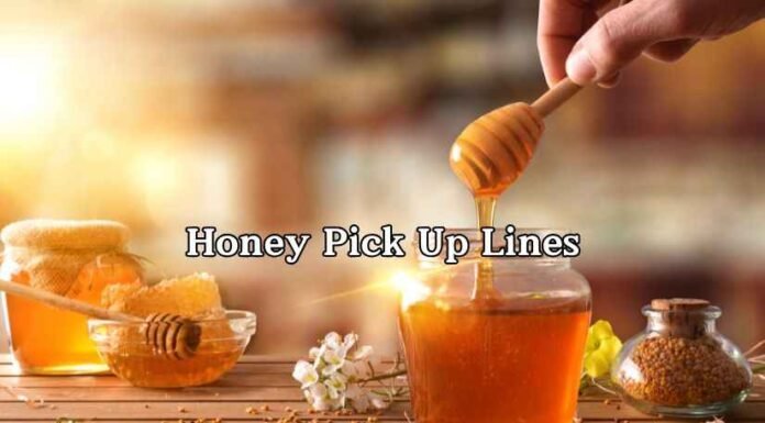 Honey Pick Up Lines Honey Pick Up Lines