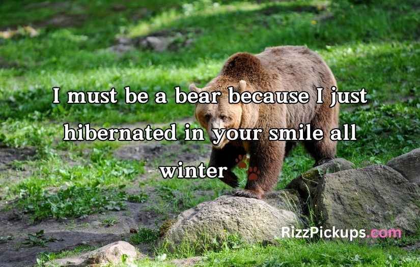 Irresistible Bear Rizz Lines