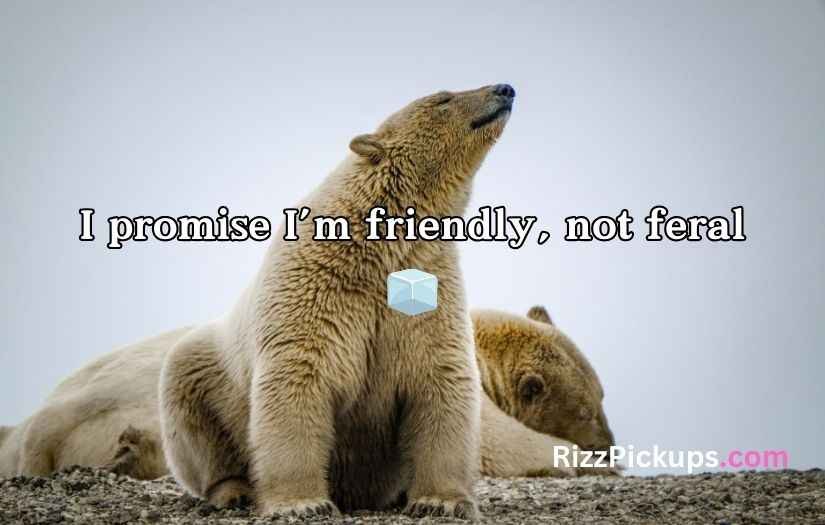 Irresistible Bear Rizz Lines