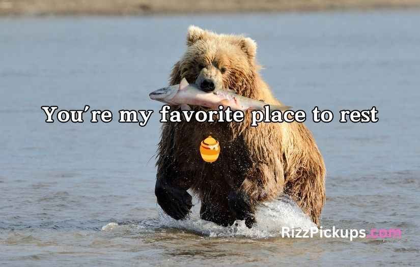 Irresistible Bear Rizz Lines