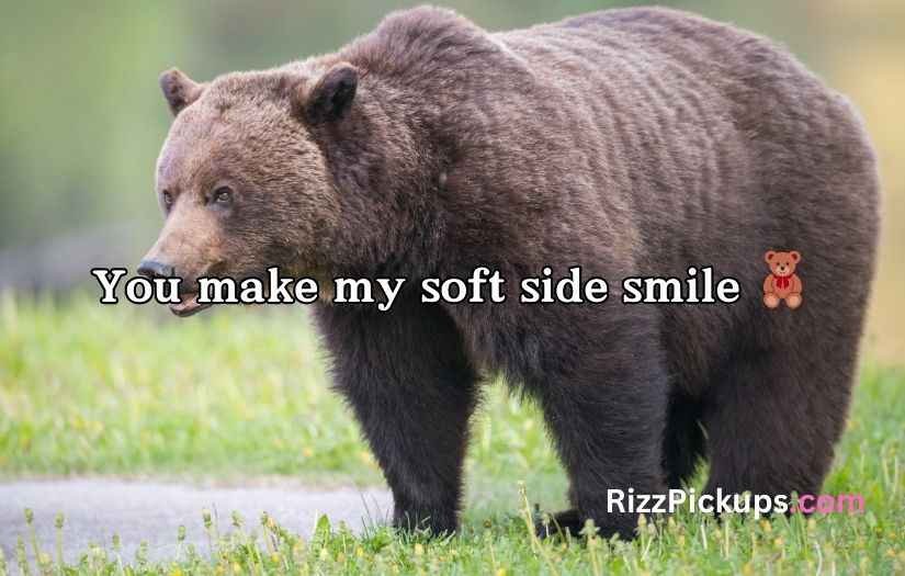 Irresistible Bear Rizz Lines