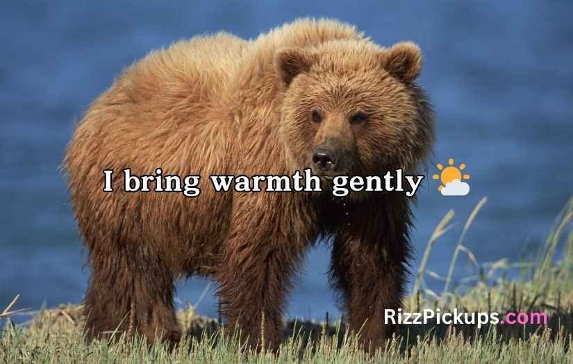 Irresistible Bear Rizz Lines