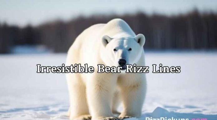 Irresistible Bear Rizz Lines Irresistible Bear Rizz Lines
