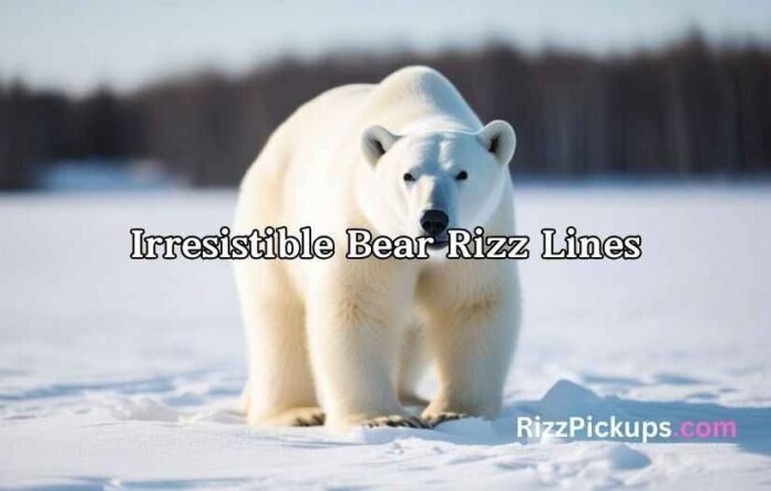 Irresistible Bear Rizz Lines Irresistible Bear Rizz Lines