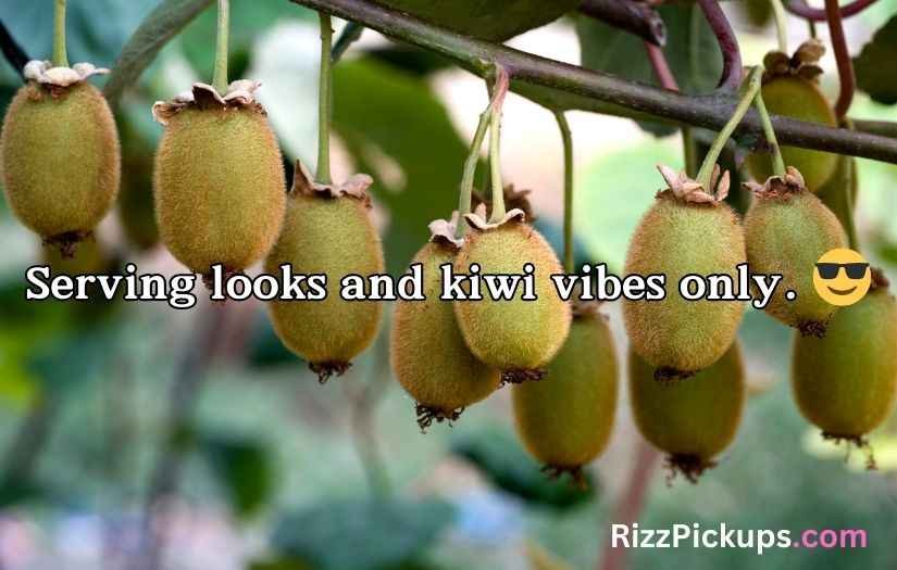 Kiwi Puns And Jokes