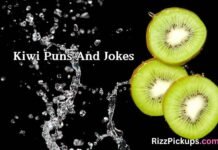 Kiwi Puns And Jokes Kiwi Puns And Jokes