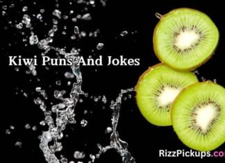 Kiwi Puns And Jokes Kiwi Puns And Jokes