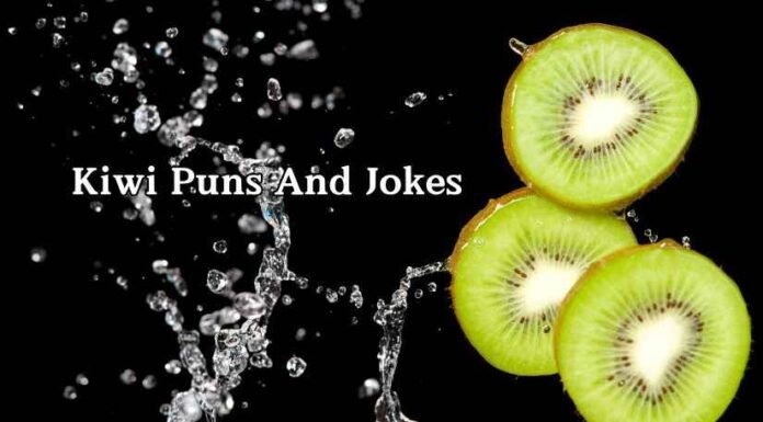 Kiwi Puns And Jokes Kiwi Puns And Jokes