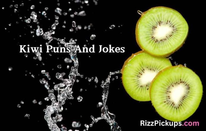 Kiwi Puns And Jokes