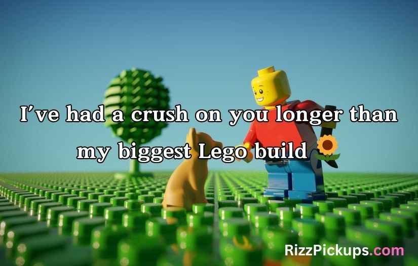 Lego Pick Up Lines and Rizz