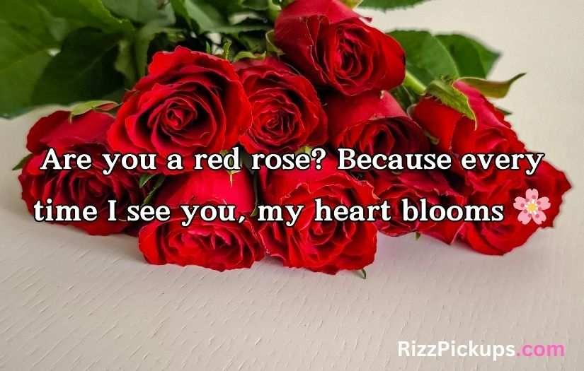 Red Roses Pick Up Lines