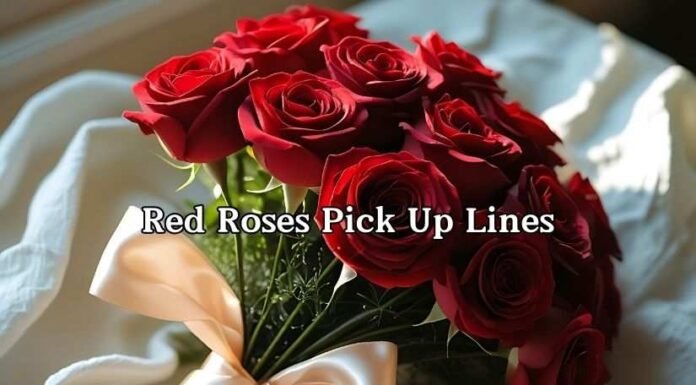 Red Roses Pick Up Lines Red Roses Pick Up Lines