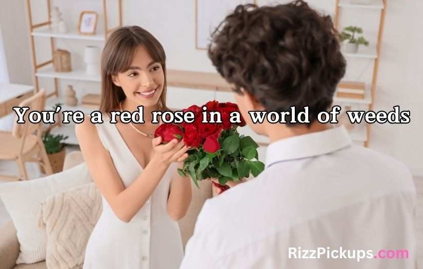 Red Roses Pick Up Lines