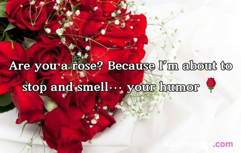 Red Roses Pick Up Lines