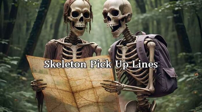 Skeleton Pick Up Lines Skeleton Pick Up Lines