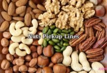 Nuts Pickup Lines Nuts Pickup Lines