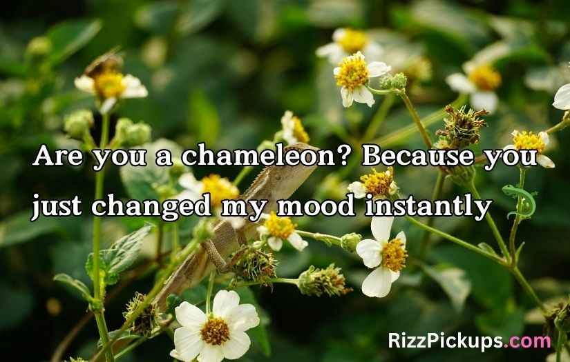 Biodiversity Rizz Lines