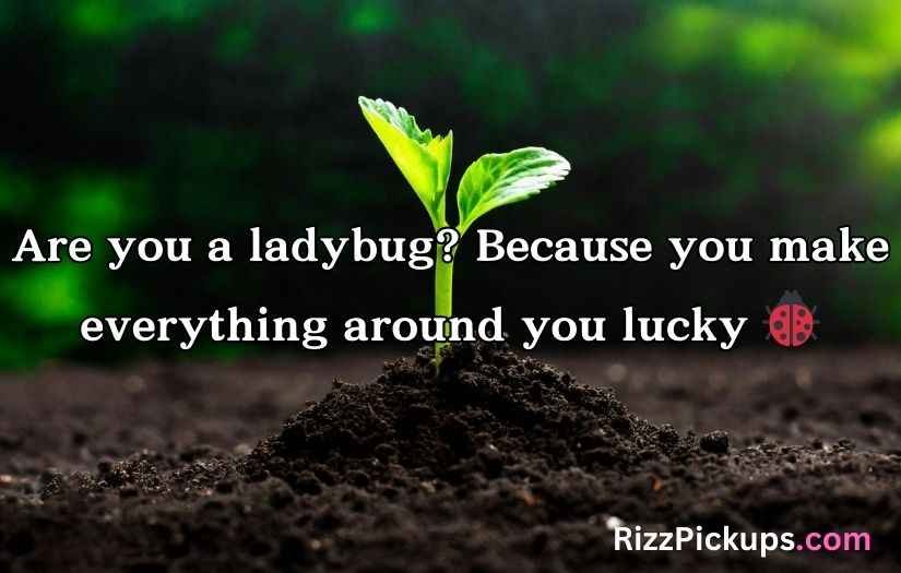 Biodiversity Rizz Lines