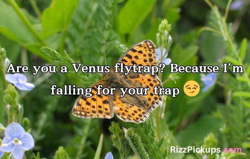 Biodiversity Rizz Lines