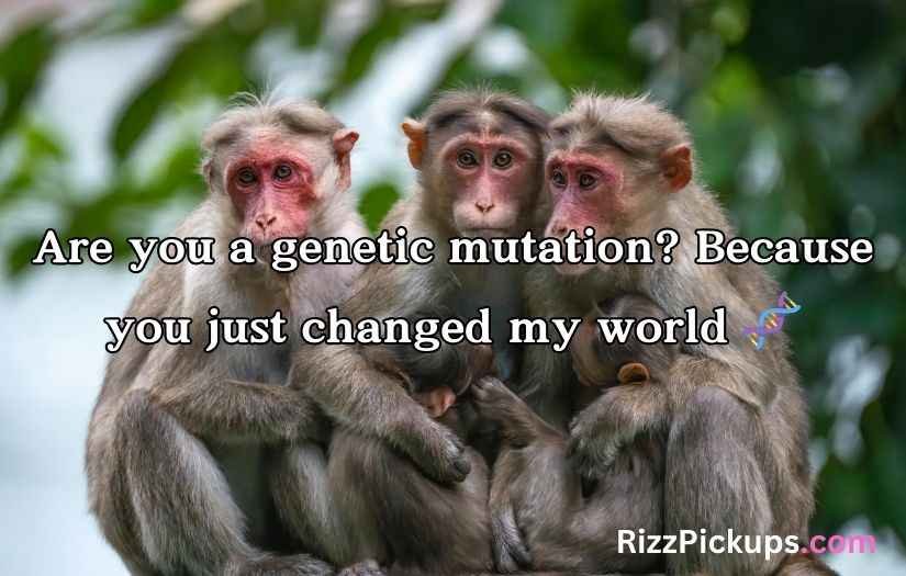 Biodiversity Rizz Lines