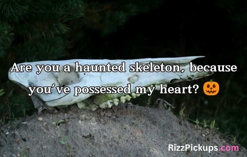 Bone Pick Up Lines and Rizz